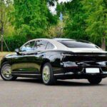 Voyah Passion L