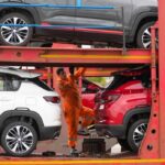 освободить от уплаты утильсбора