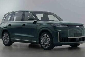Крупный гибрид Chery Fulwin T11